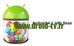logo_android-4.1-jelly-bean