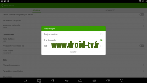 Parametrage Flash Player toujours active Dolphin Browser Droid-TV.fr