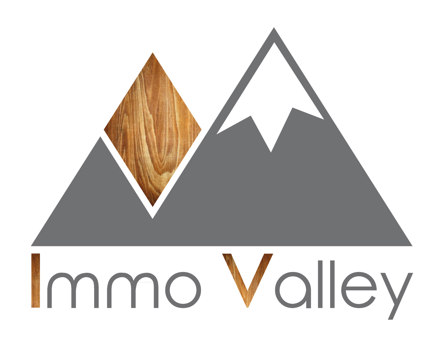 Immo Valley agence immobiliere